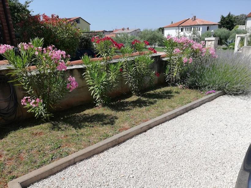 Apartments Oleander Lovrecica-Residence With Pool מראה חיצוני תמונה