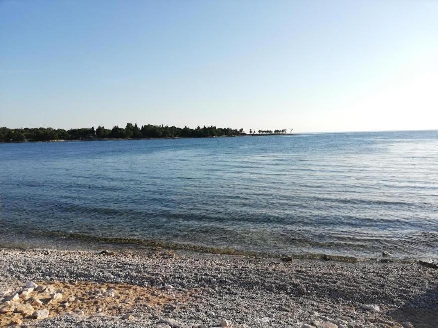 Apartments Oleander Lovrecica-Residence With Pool מראה חיצוני תמונה