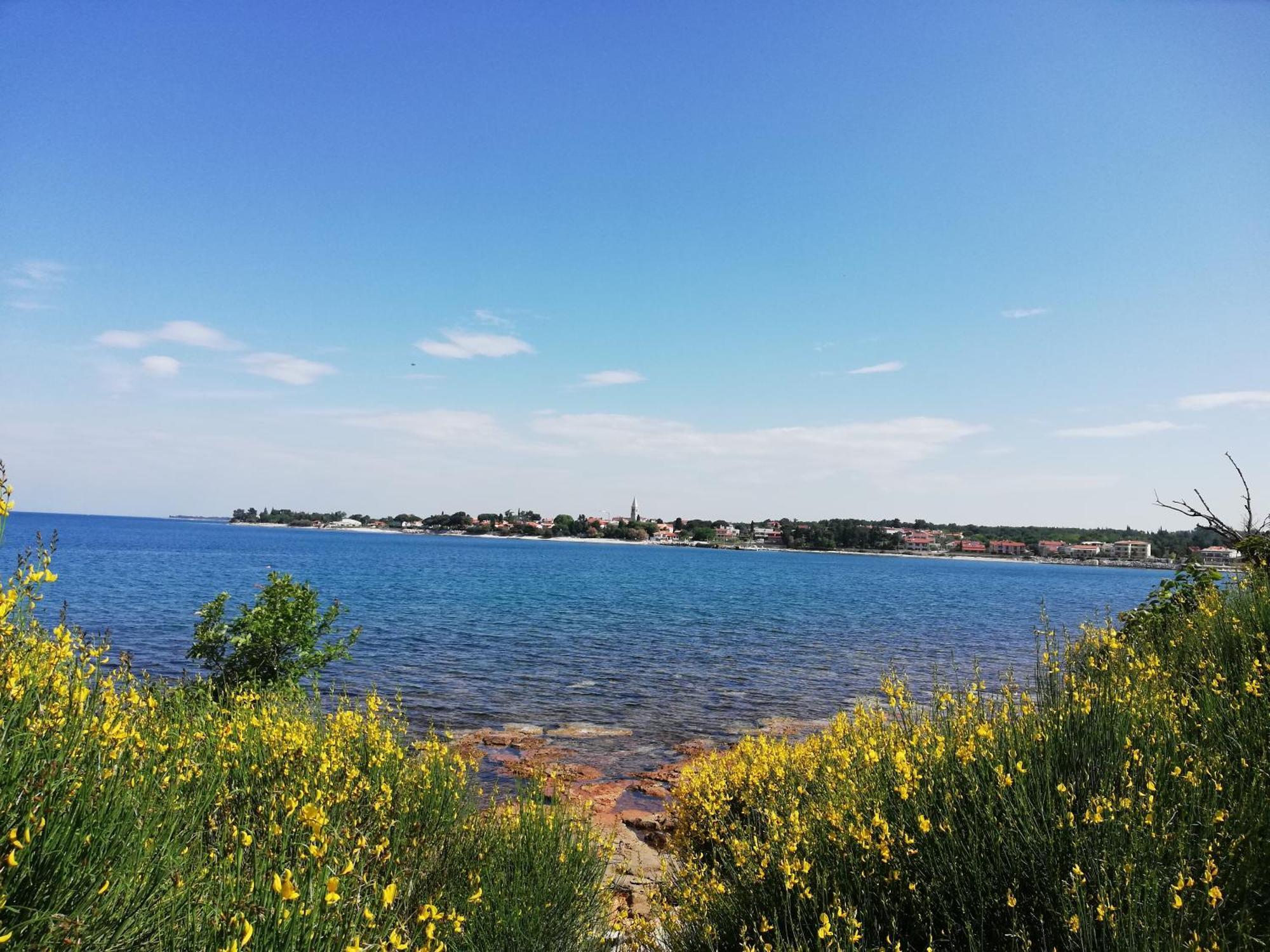 Apartments Oleander Lovrecica-Residence With Pool מראה חיצוני תמונה