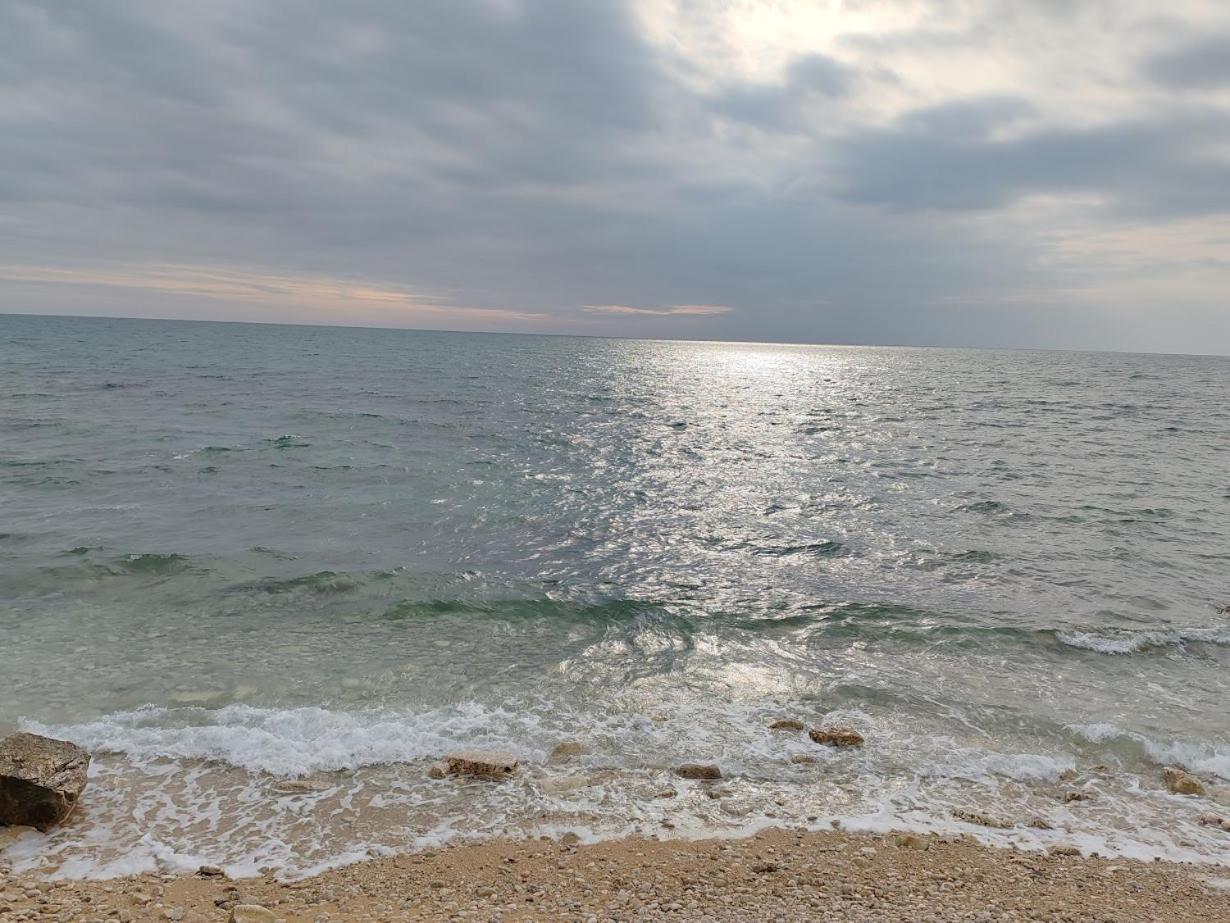 Apartments Oleander Lovrecica-Residence With Pool מראה חיצוני תמונה